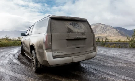 Tag 4 – Auf dem Dempster Highway und zurück in Dawson