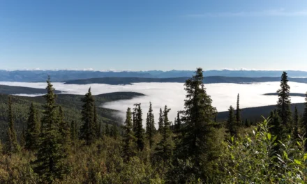 Tag 5 – On Top of the World auf dem Weg nach Alaska