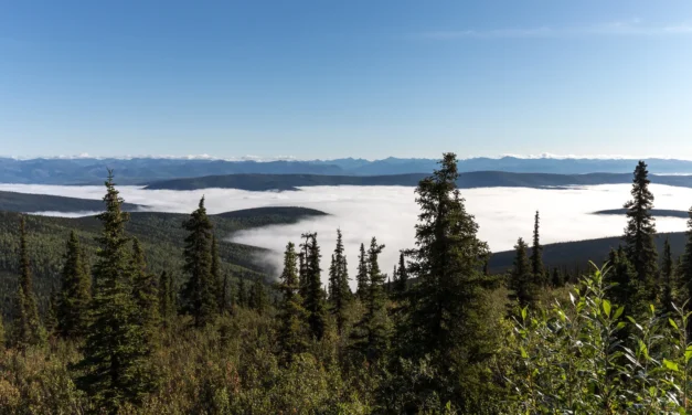 Tag 5 – On Top of the World auf dem Weg nach Alaska