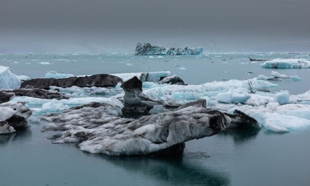 Tag 5 – von Puffins, Wasserfällen und Eisbergen