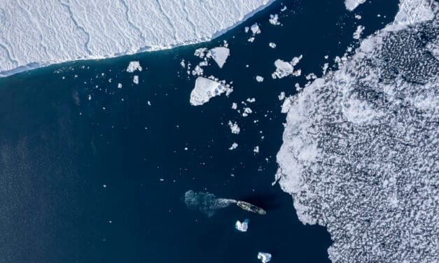 Tag 08 – Der erste Pixelbär und am Bråsvellbreen Gletscher