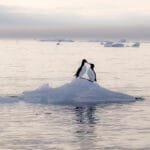 Best of Spitzbergen 2023