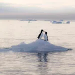Best of Spitzbergen 2023