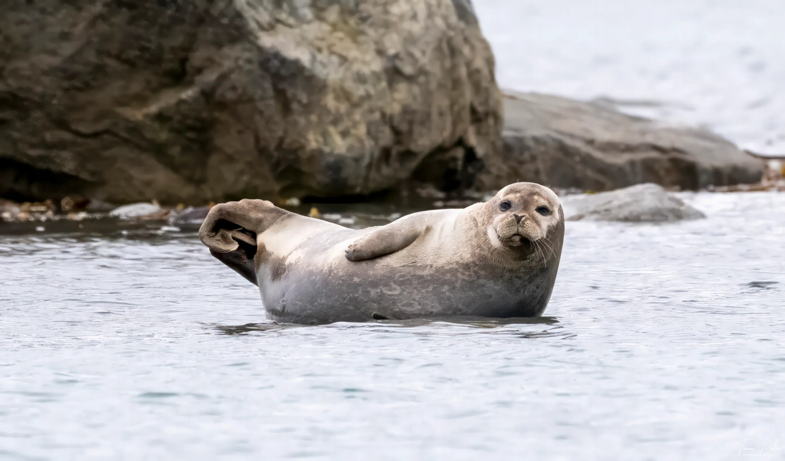 Z9W_5287-Bearbeitet