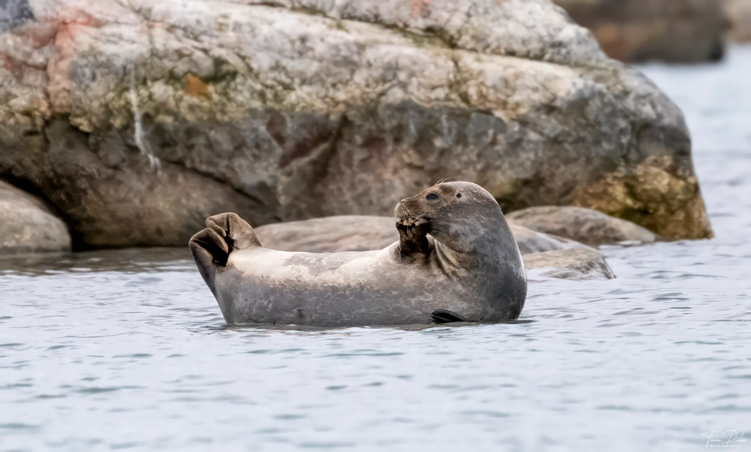 Z9W_5310-Bearbeitet