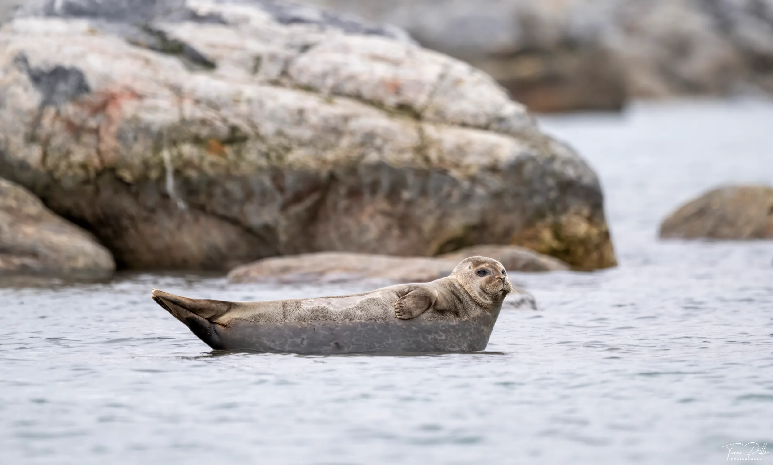 Z9W_5375-Bearbeitet