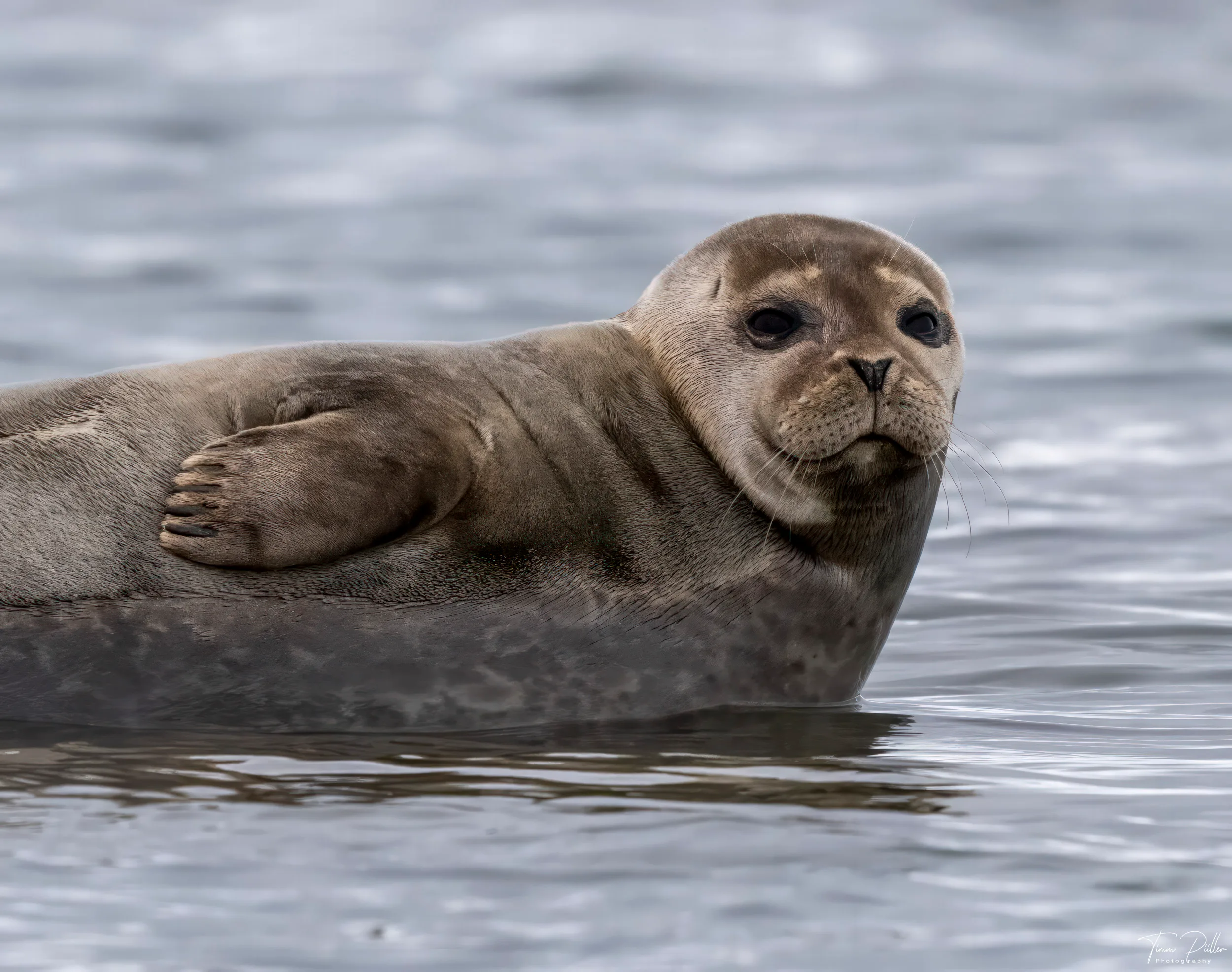Z9W_5454-Bearbeitet