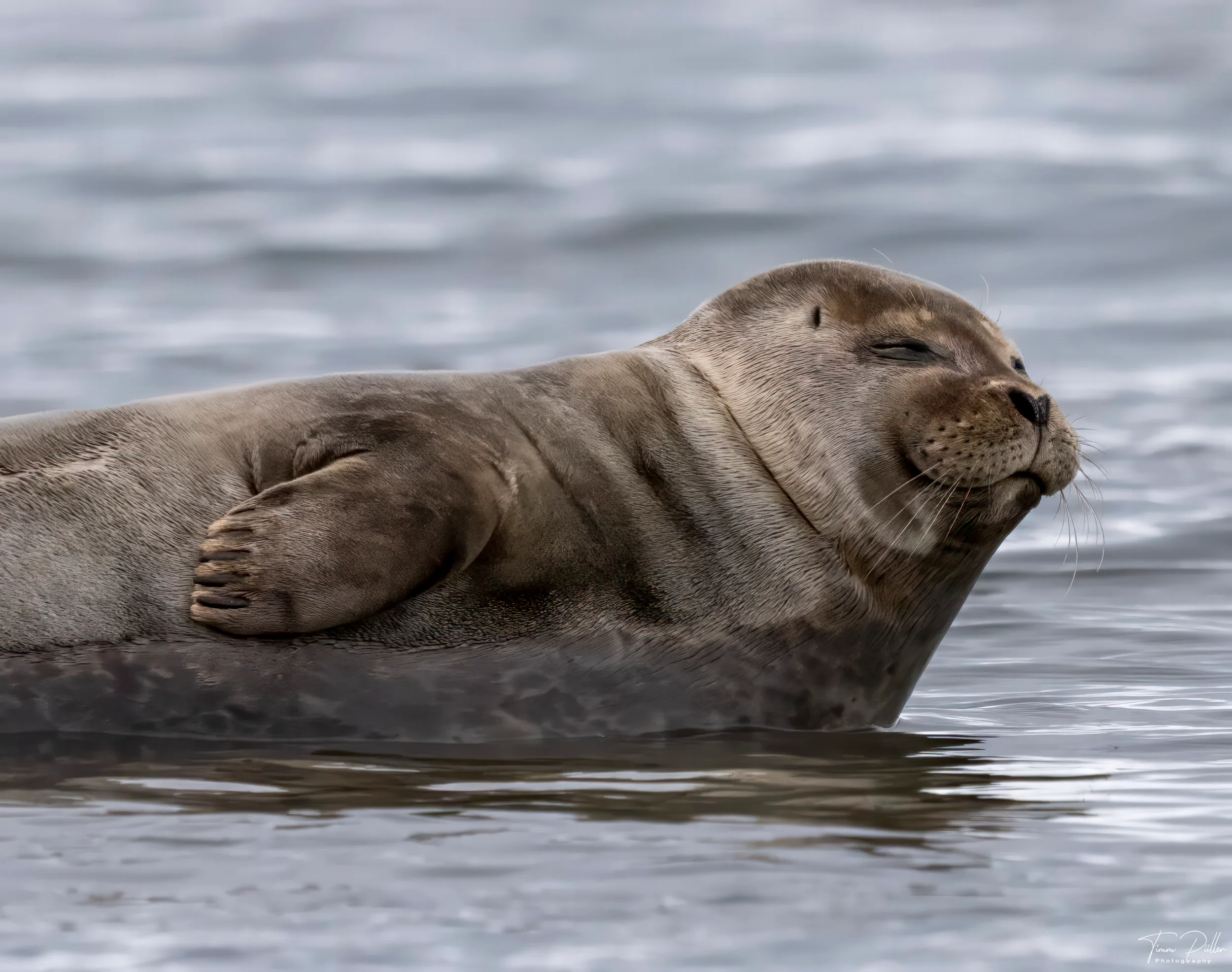 Z9W_5461-Bearbeitet