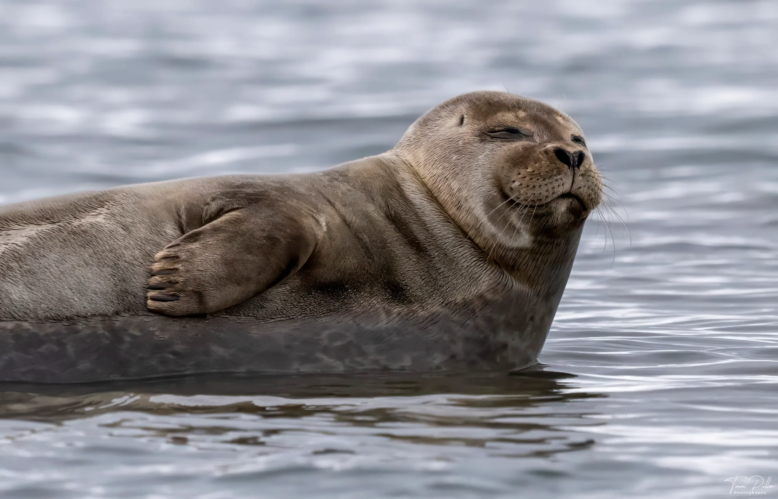 Z9W_5471-Bearbeitet