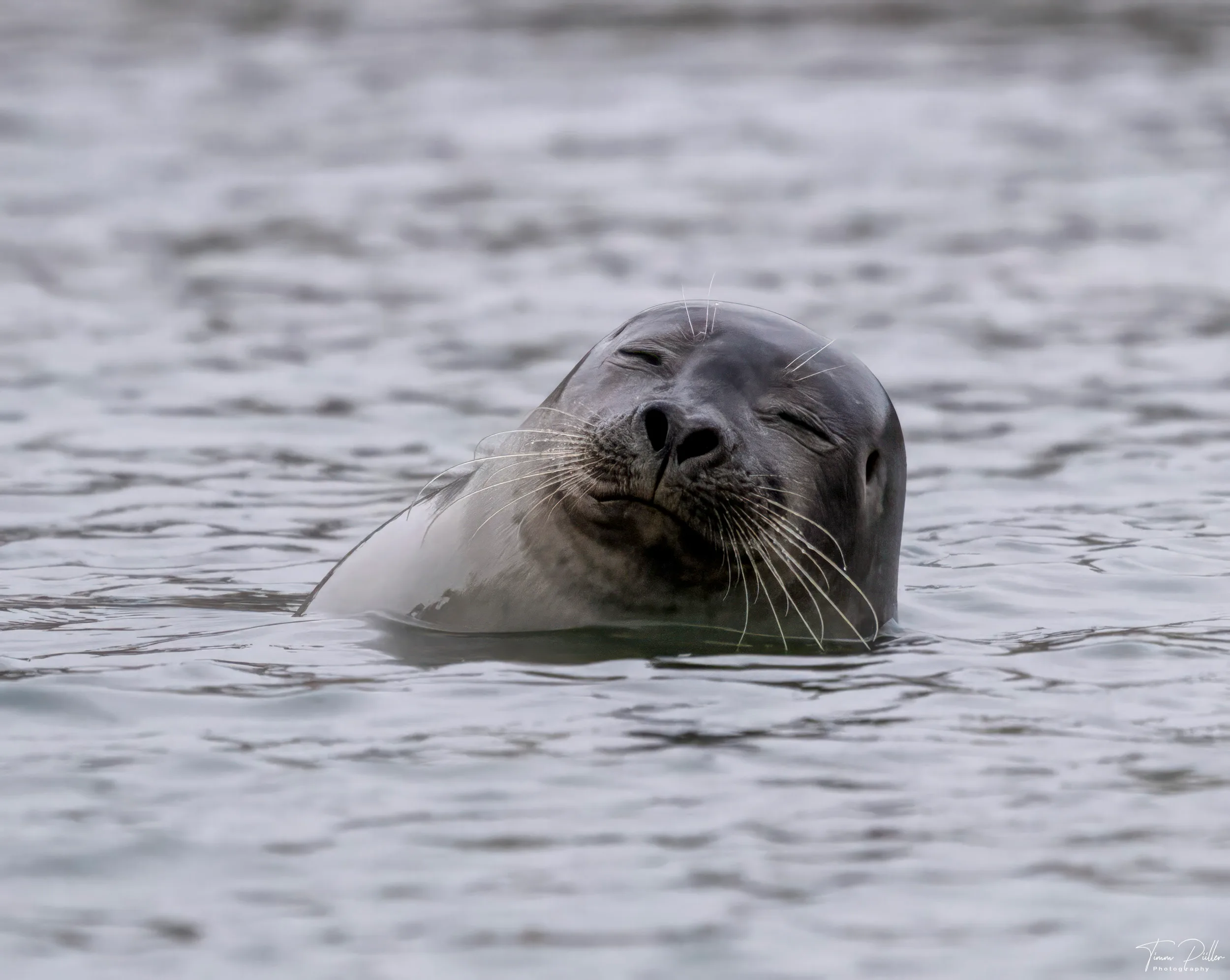 Z9W_5549-Bearbeitet