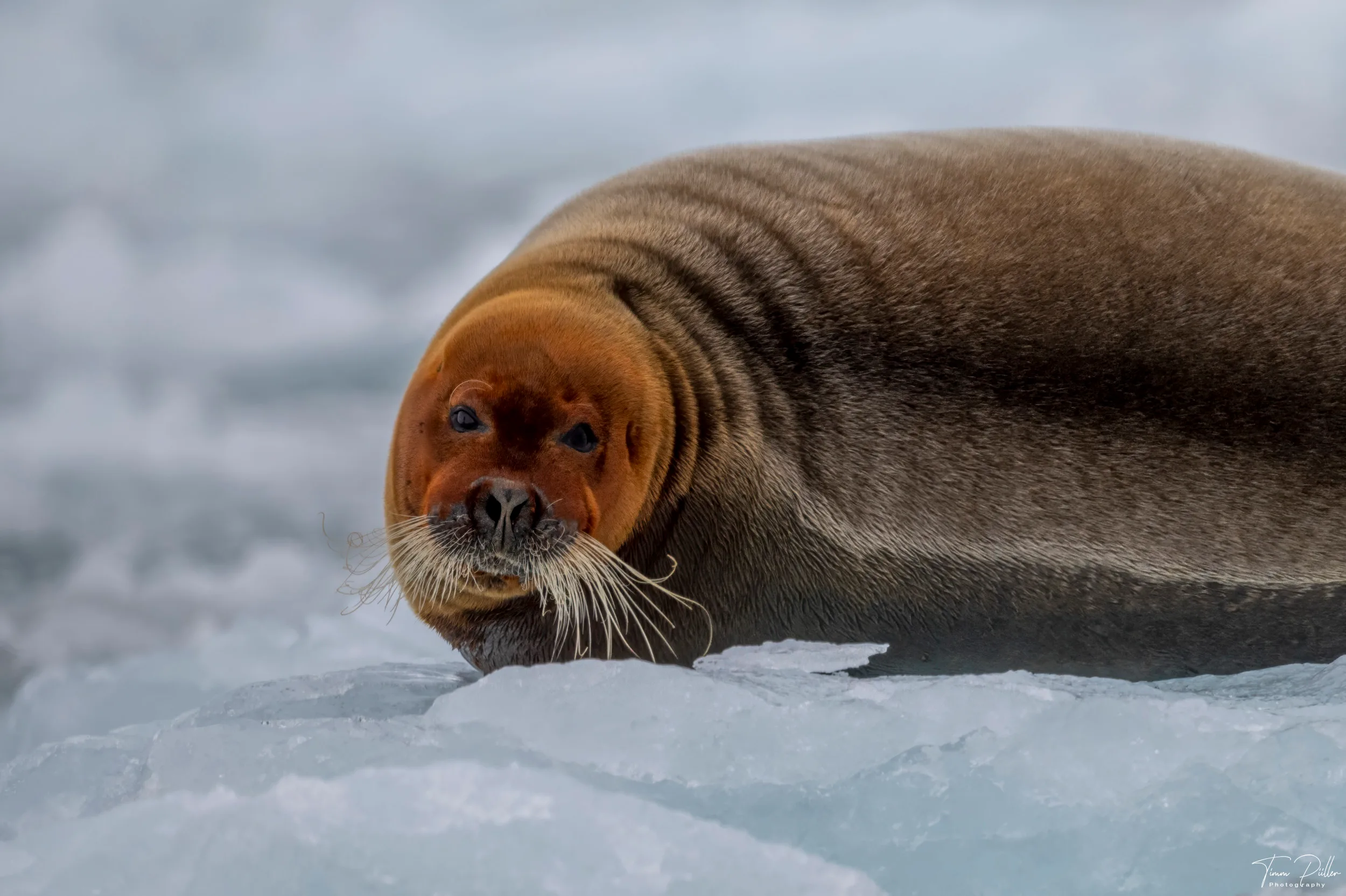 Z9W_6395-Bearbeitet