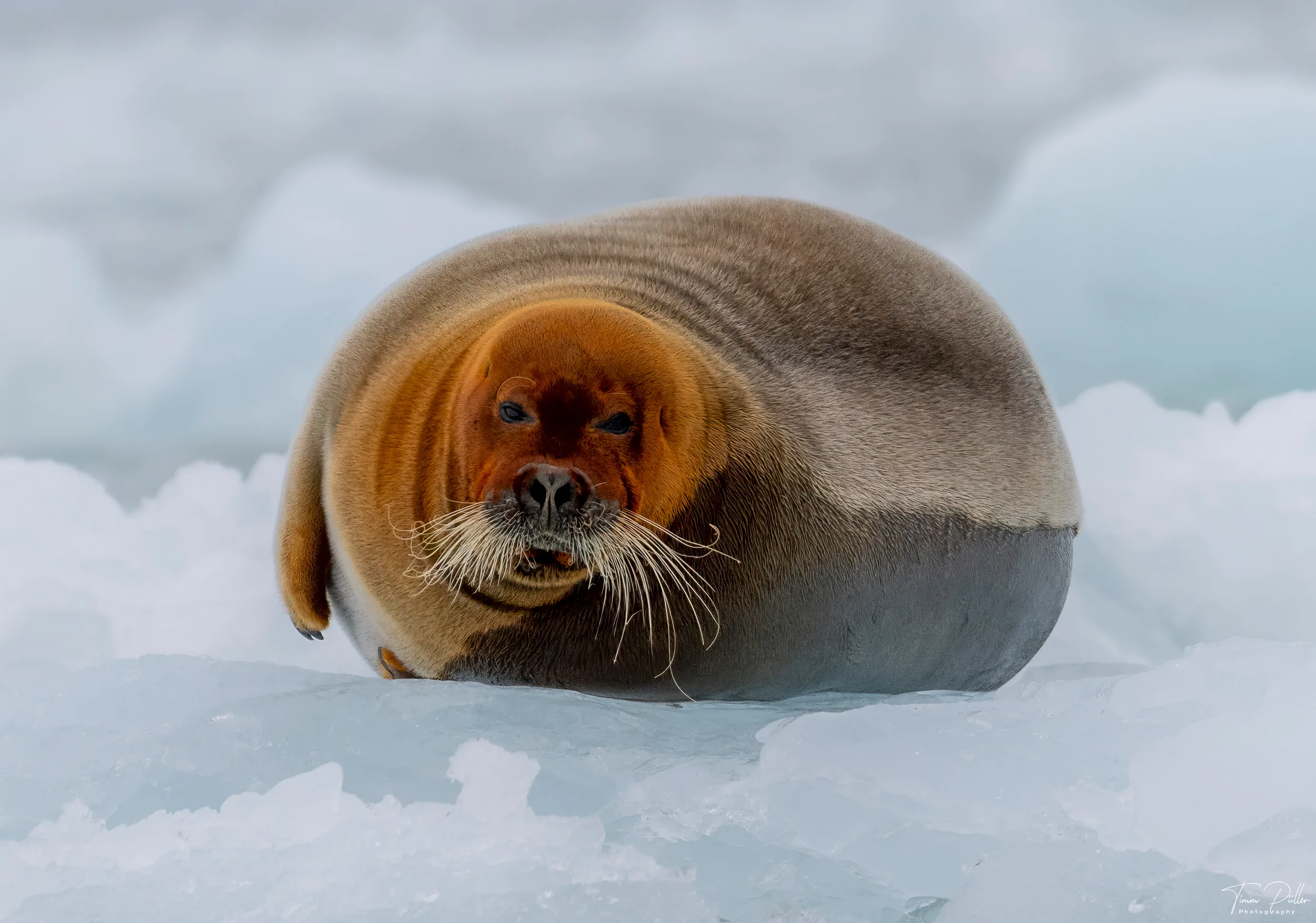 Z9W_6472-Bearbeitet