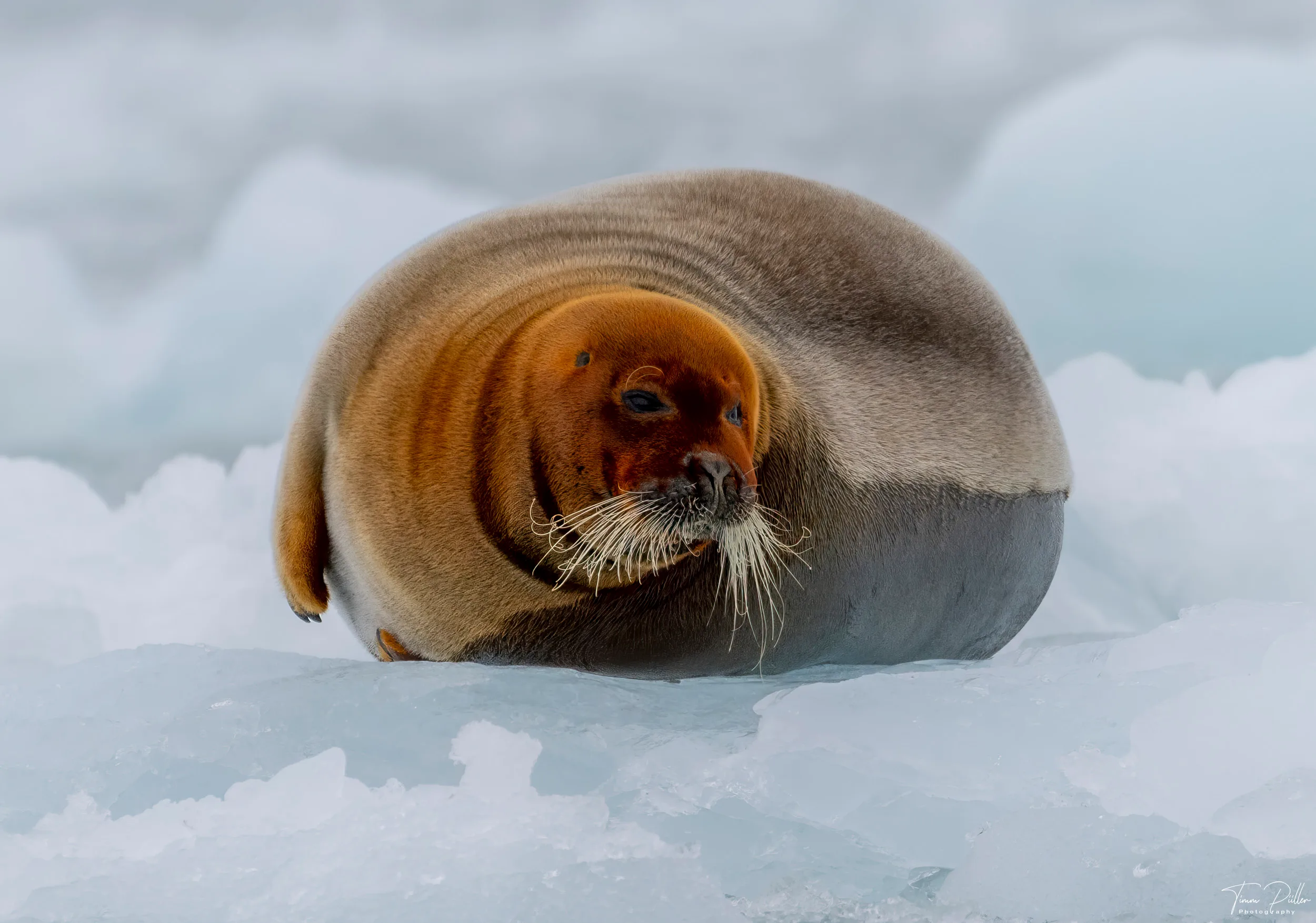 Z9W_6475-Bearbeitet