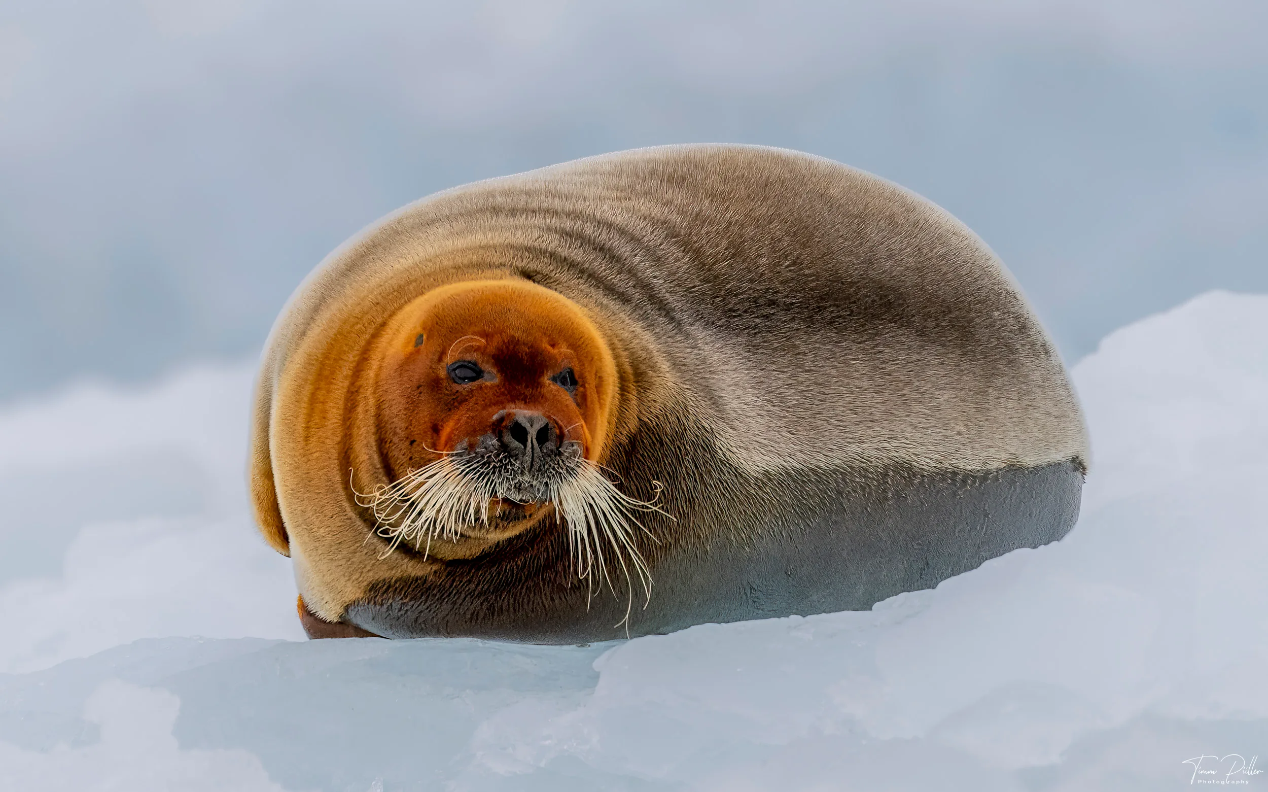 Z9W_6544-Bearbeitet