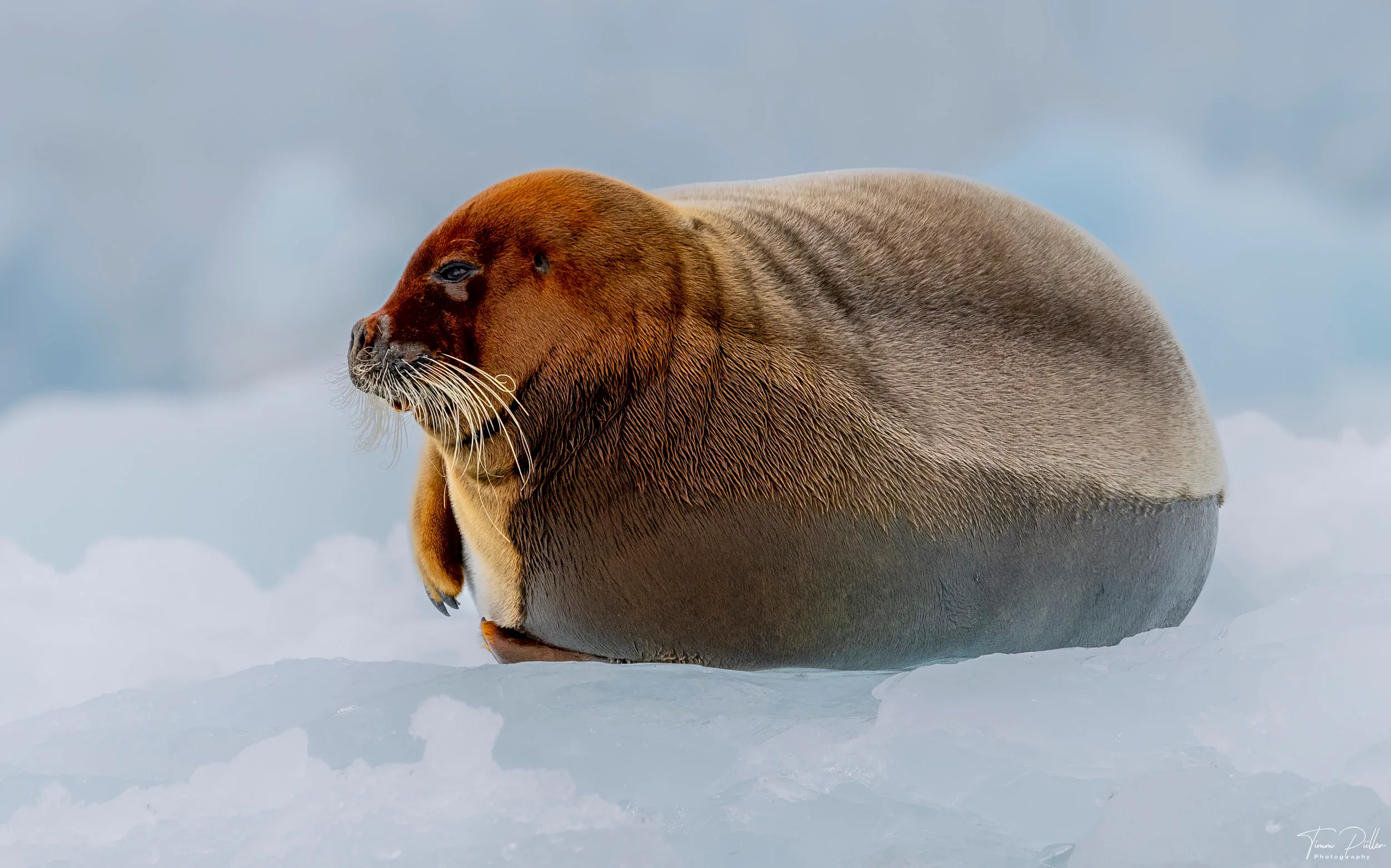 Z9W_6626-Bearbeitet