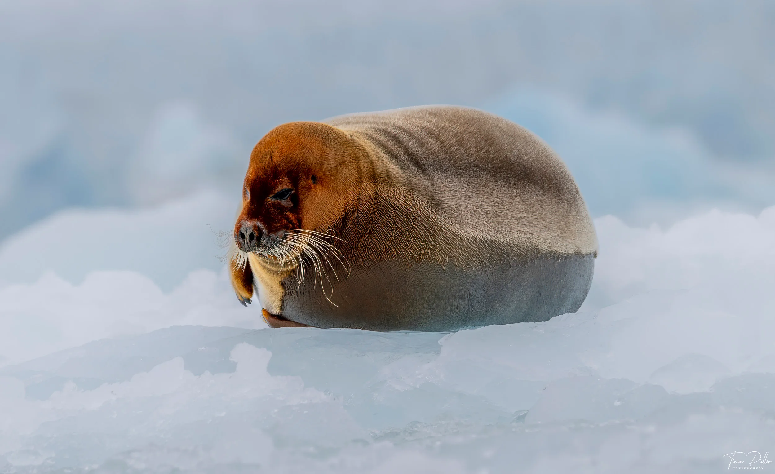 Z9W_6627-Bearbeitet