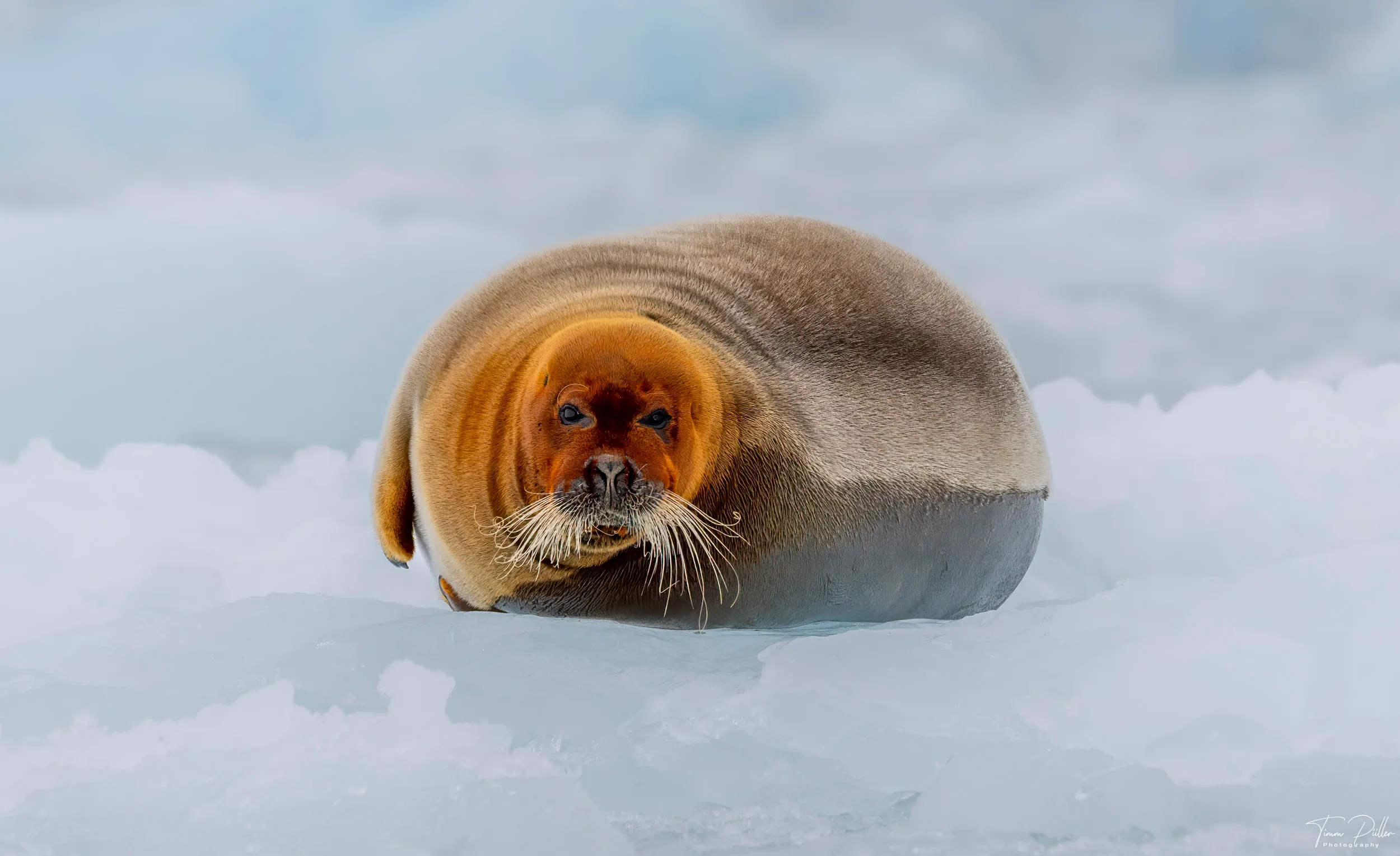 Z9W_6658-Bearbeitet