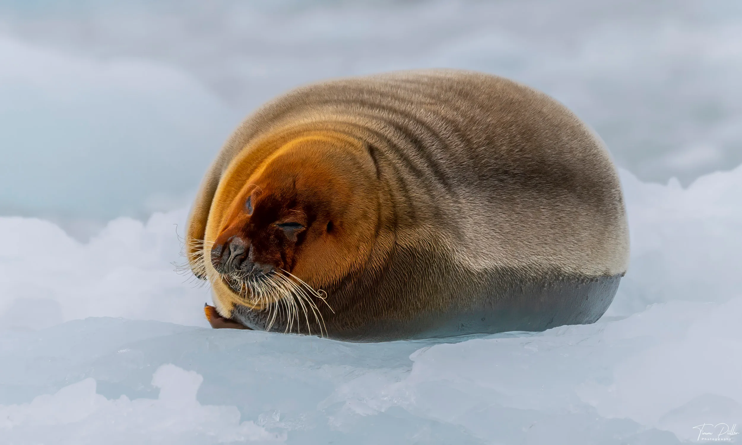 Z9W_6695-Bearbeitet