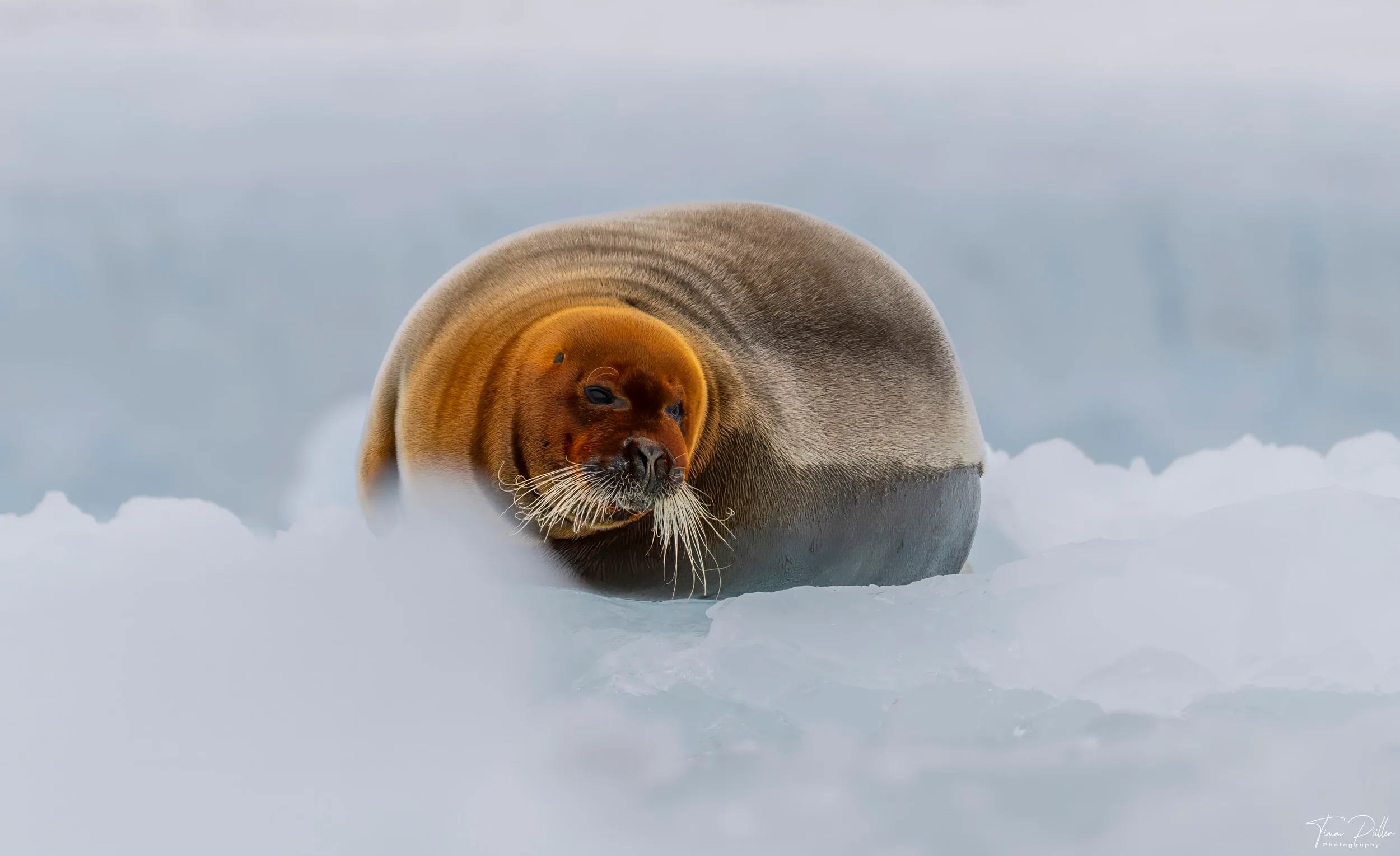 Z9W_6748-Bearbeitet