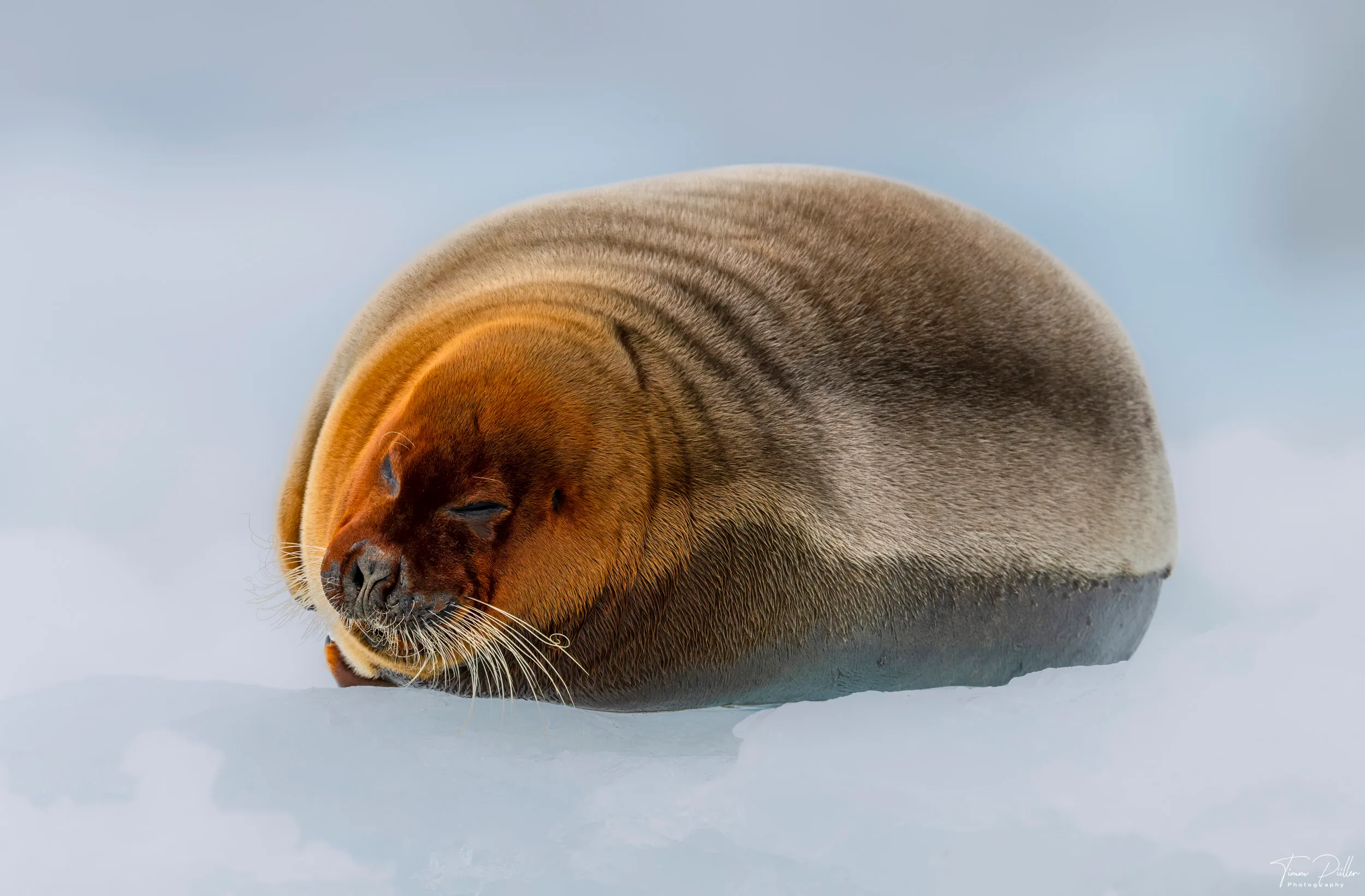 Z9W_6783-Bearbeitet