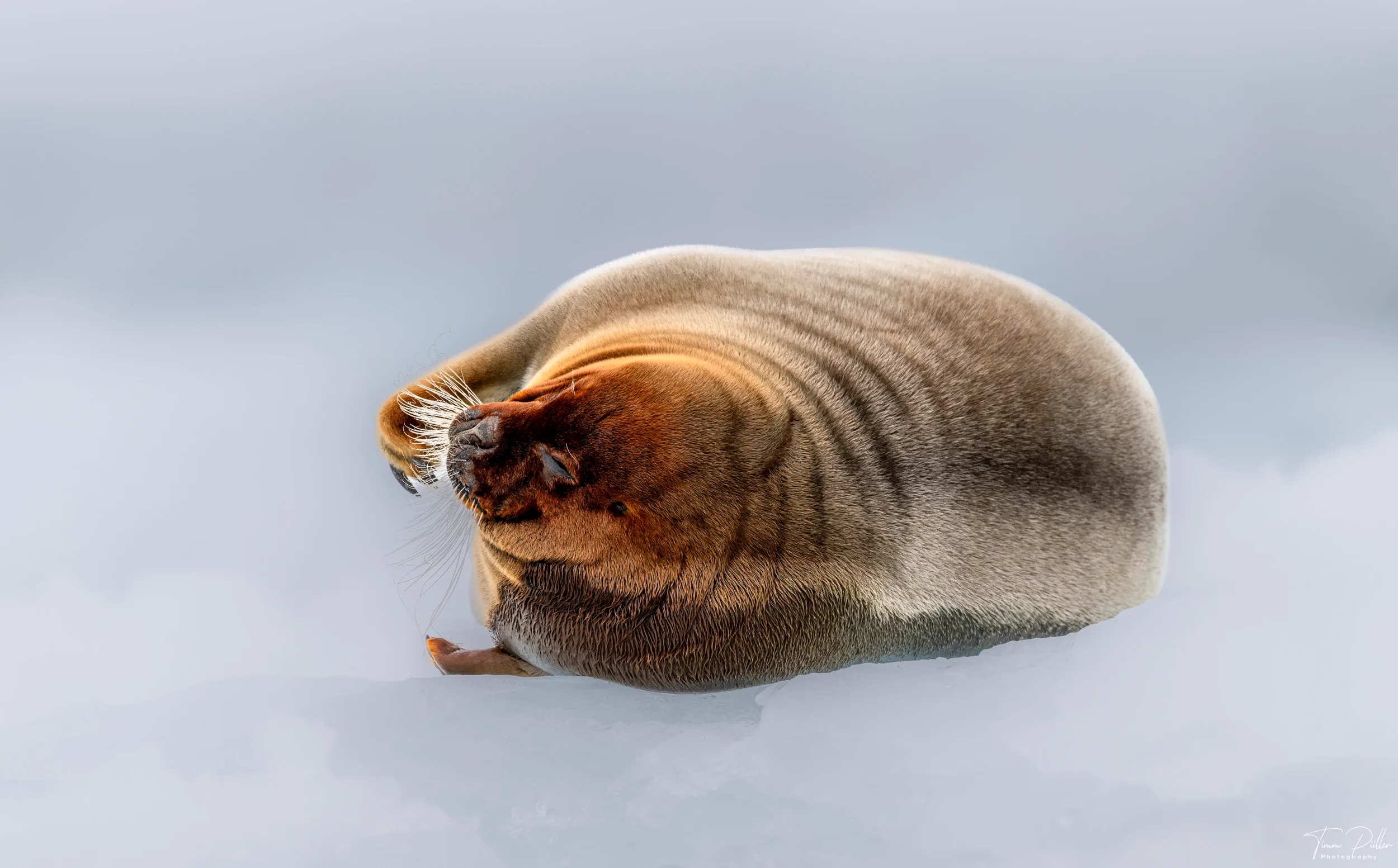 Z9W_6788-Bearbeitet