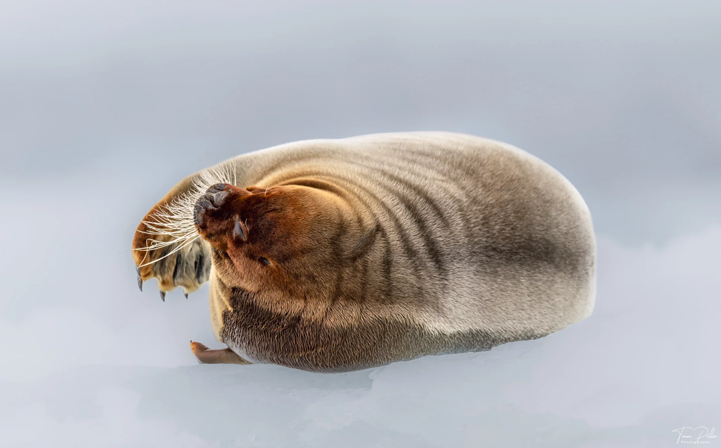 Z9W_6794-Bearbeitet