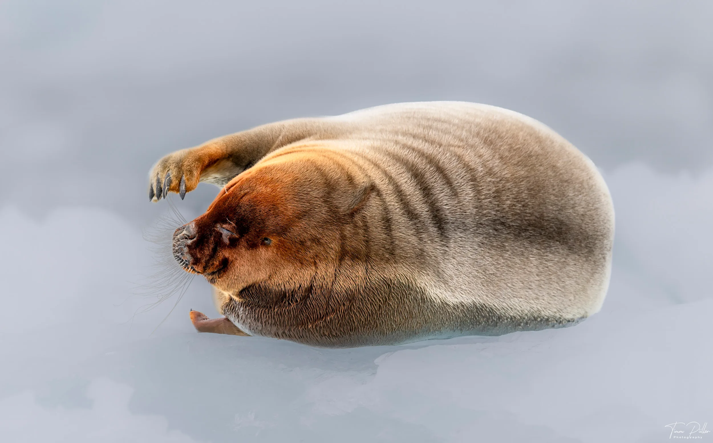 Z9W_6825-Bearbeitet