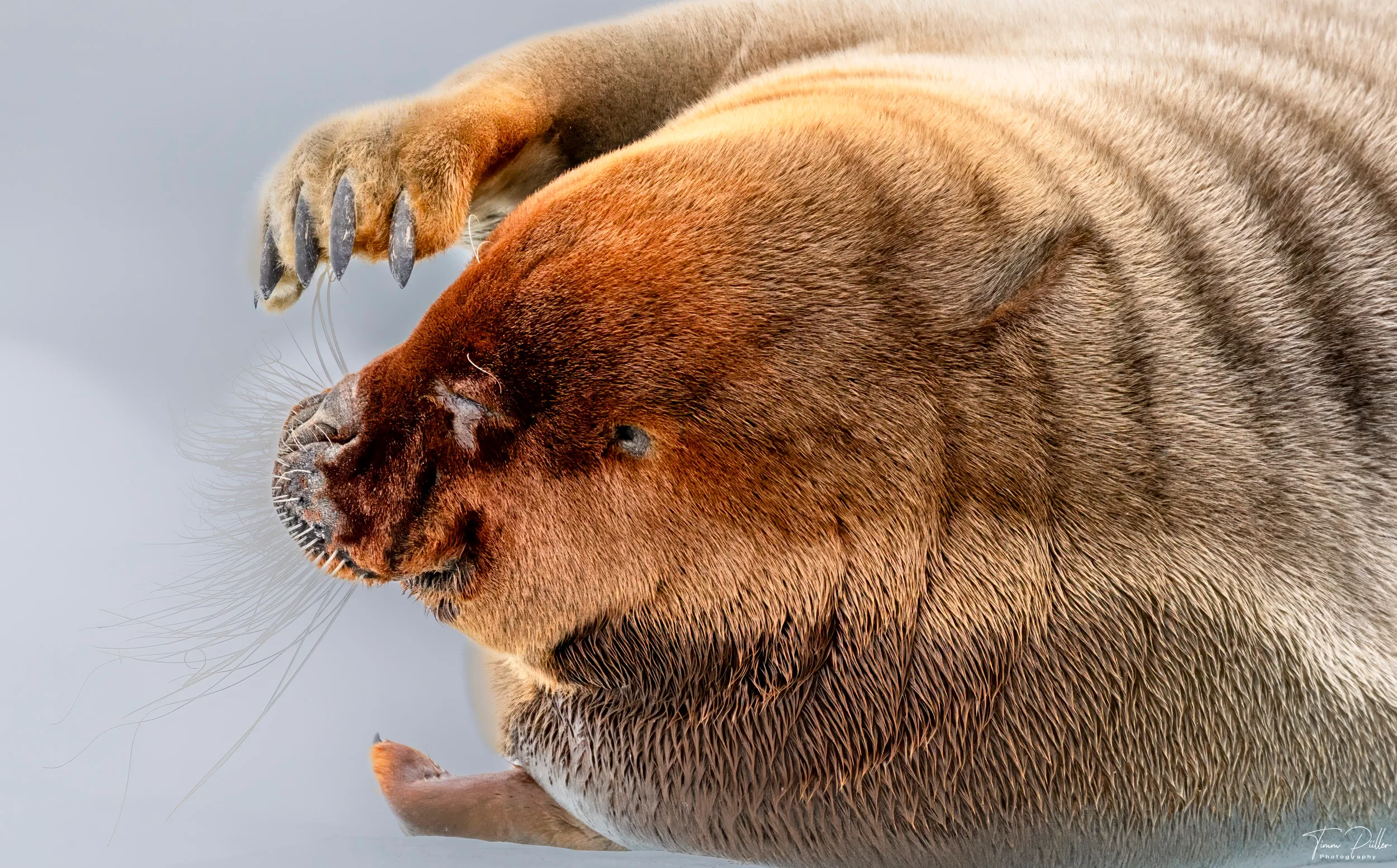 Z9W_6827-Bearbeitet