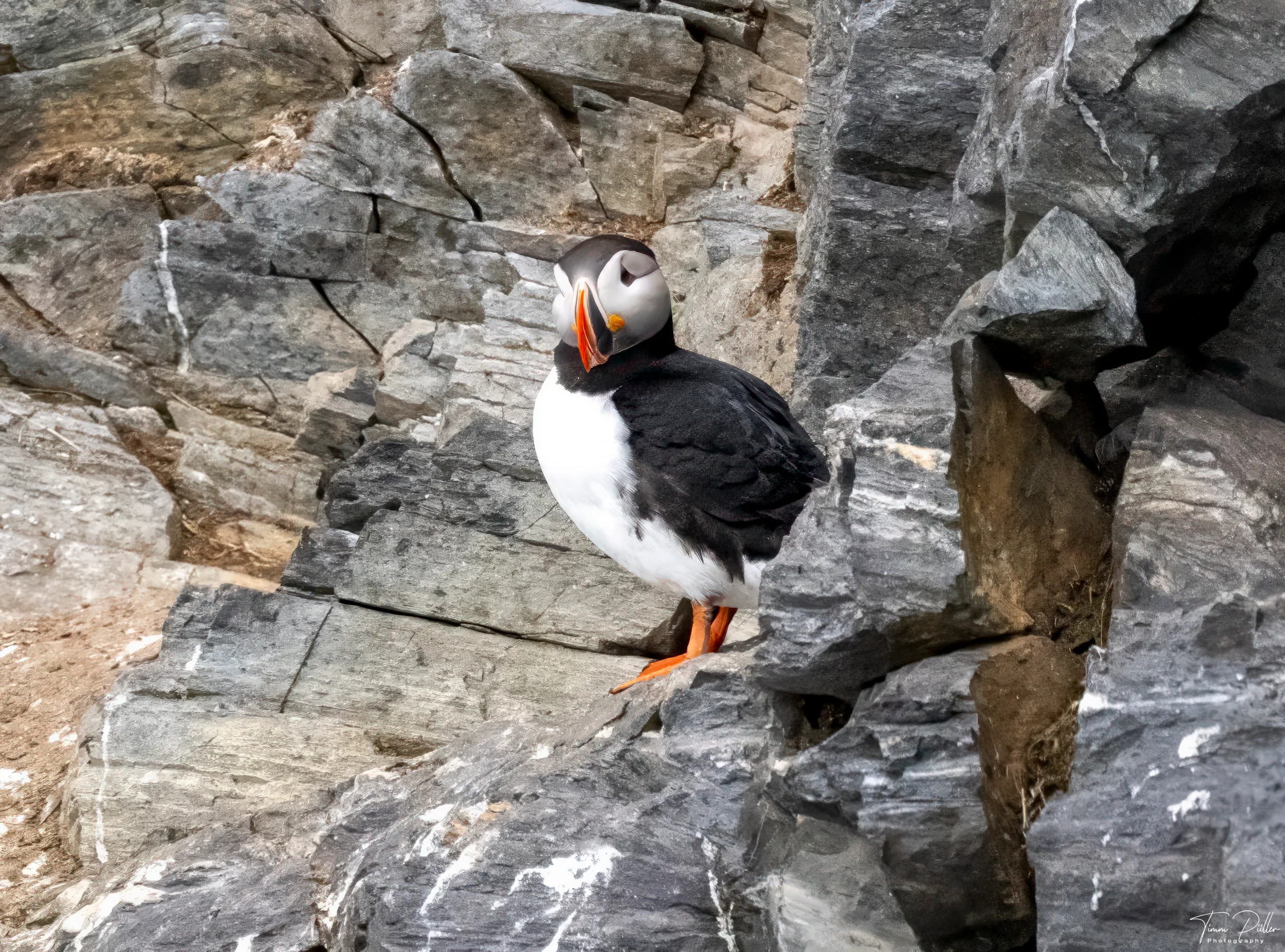 Z9W_7033-Bearbeitet