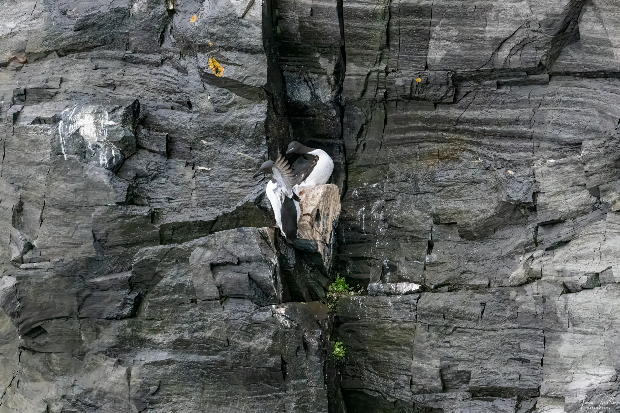 Z9W_7172-Bearbeitet