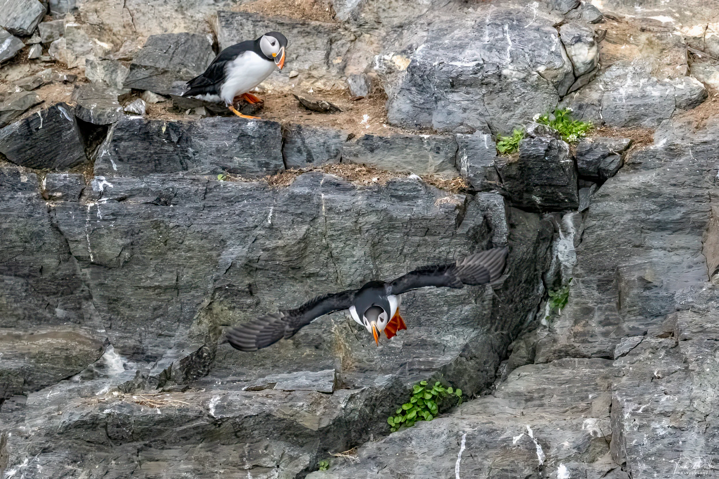 Z9W_7399-Bearbeitet