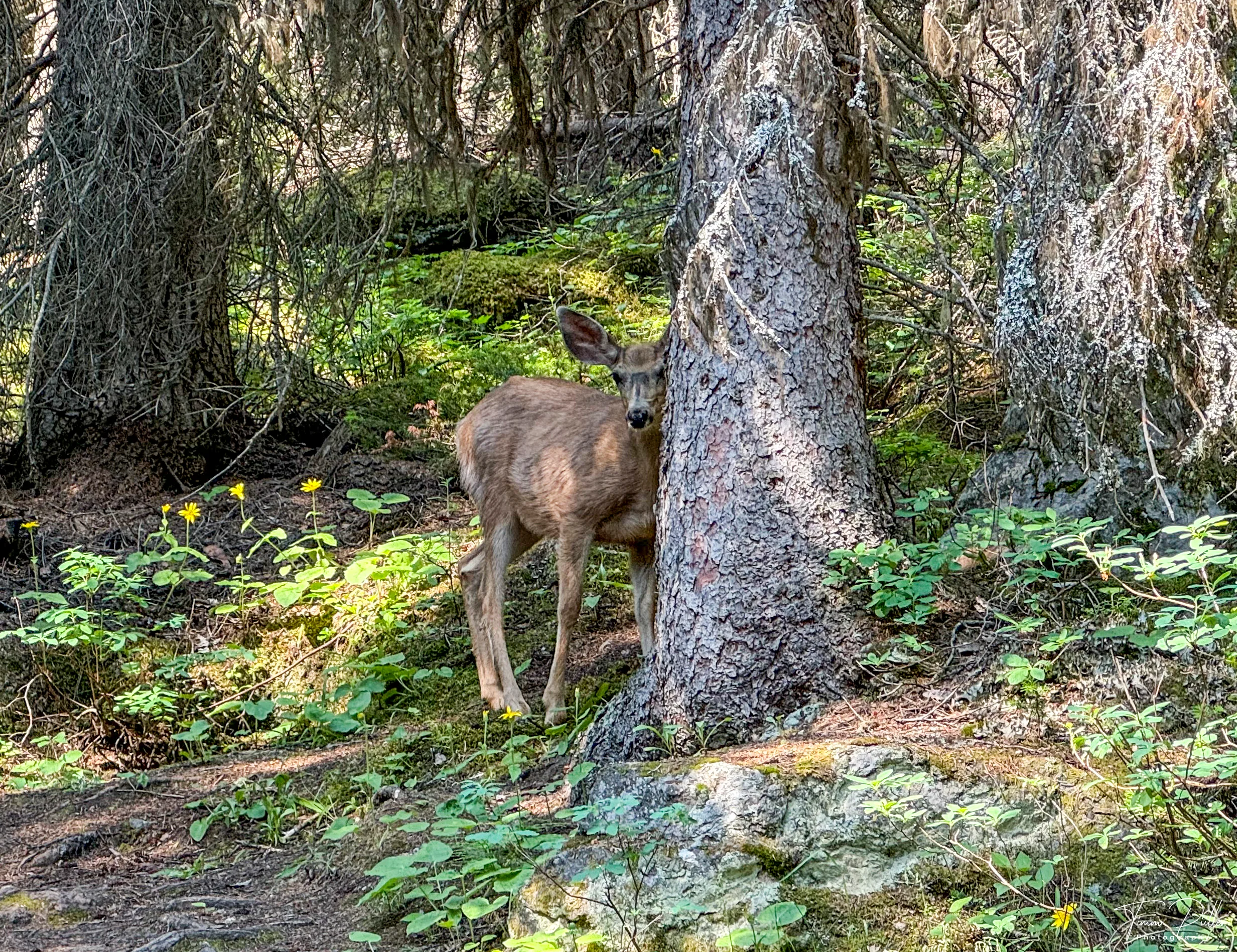 IMG_7543