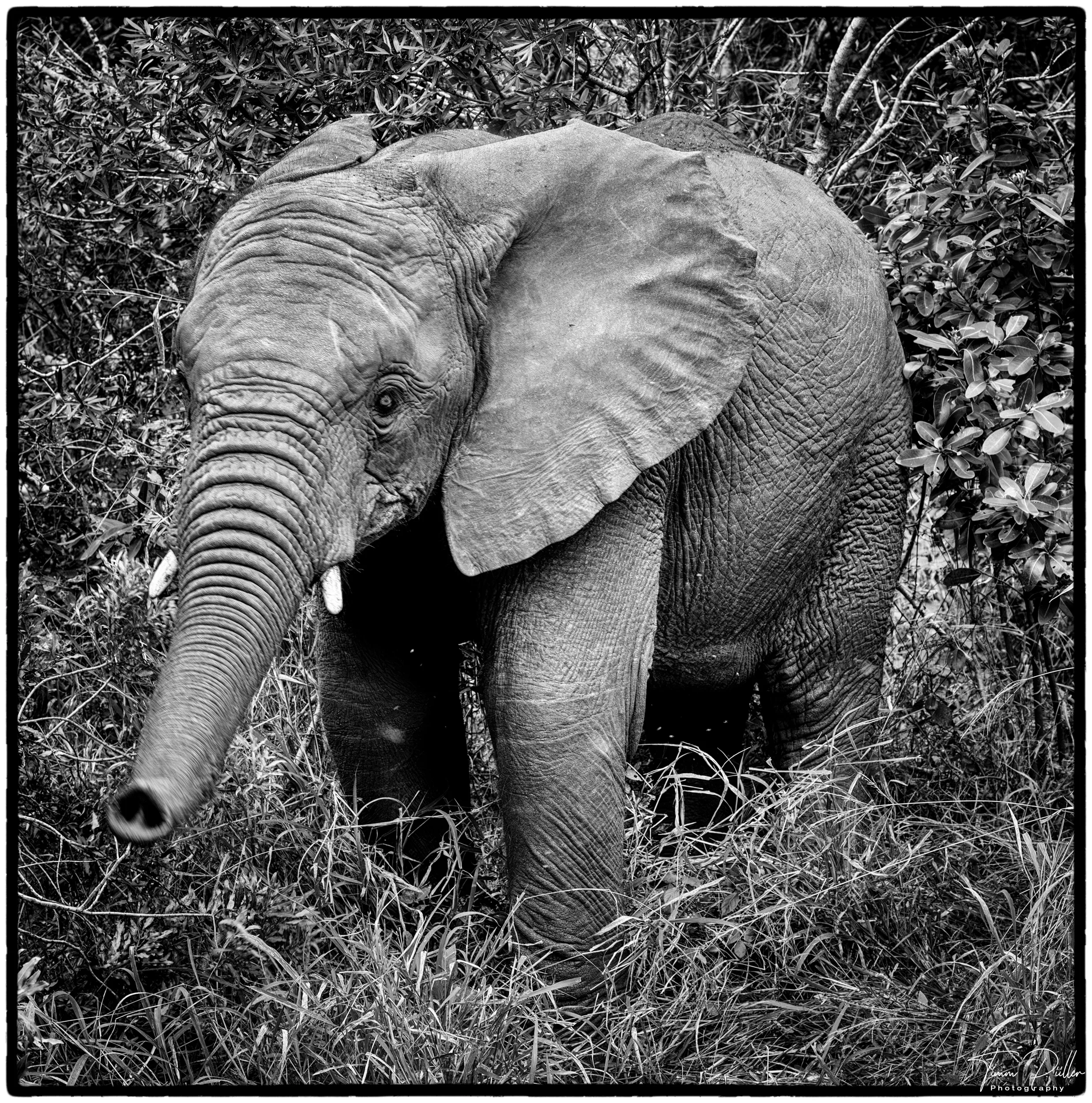 Z8W_2537-Enhanced-NR-Bearbeitet