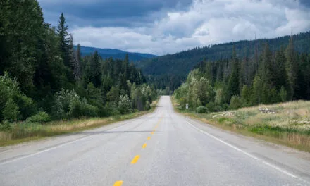 Kanada: Tag 12 – Fahrtag nach Valemount