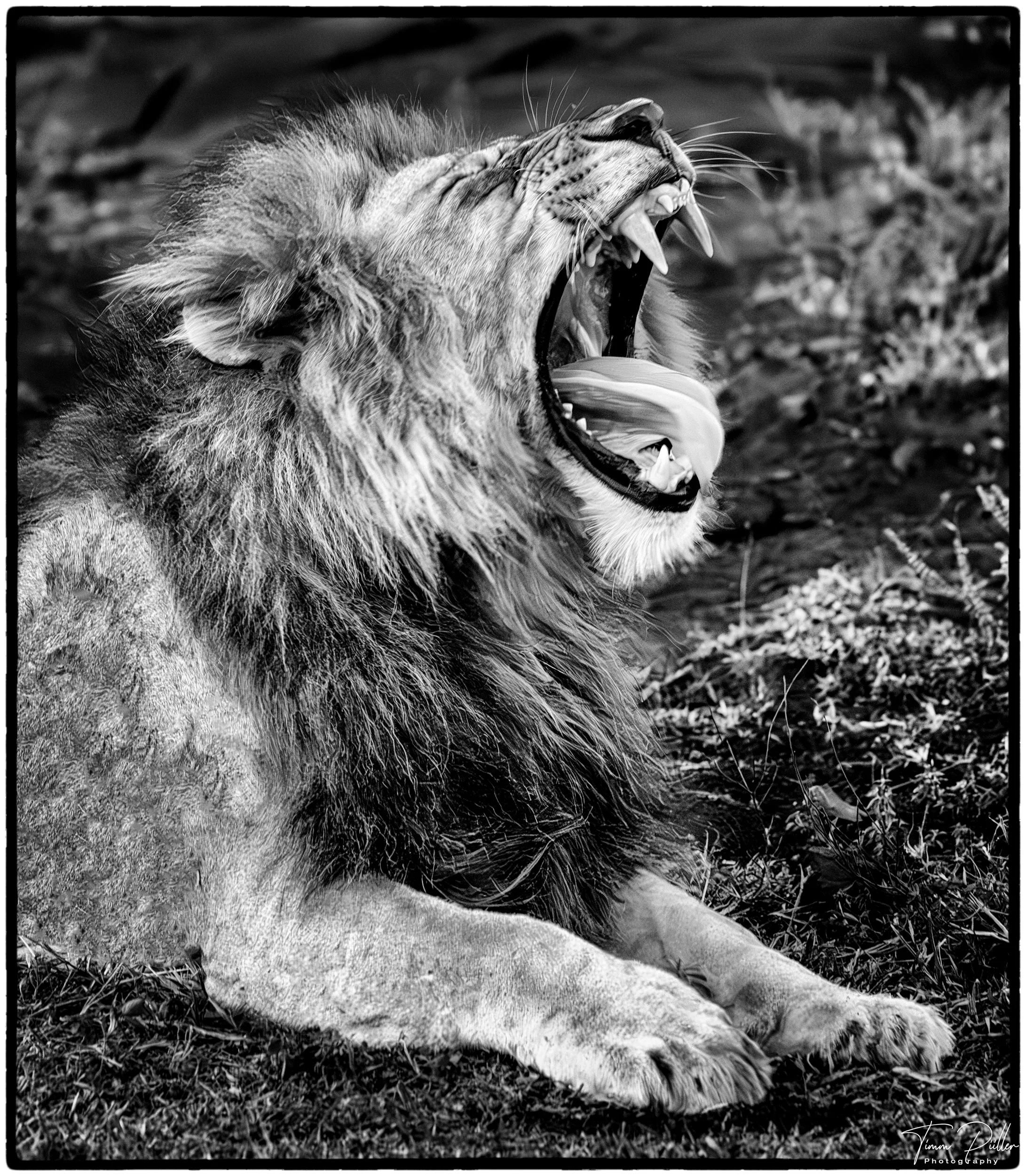 Z9W_5811-Enhanced-NR-Bearbeitet-Bearbeitet-2