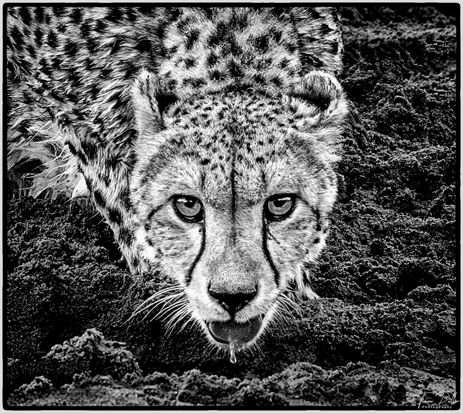 Z9W_8103-Enhanced-NR-Bearbeitet-Bearbeitet