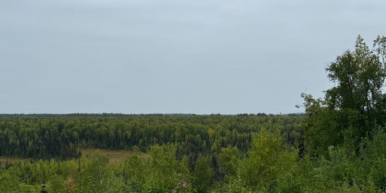 Alaska: Tag 39 – Nachlese bei Regen