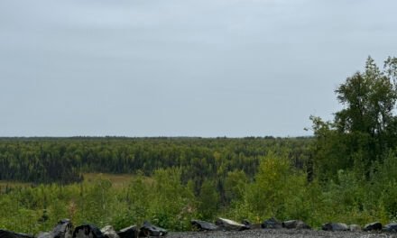 Alaska: Tag 39 – Nachlese bei Regen