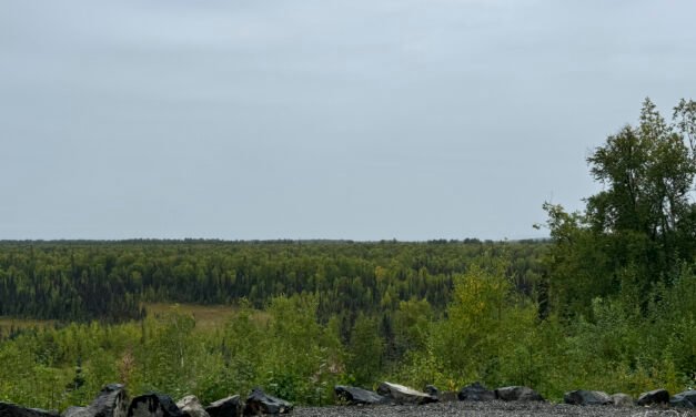 Alaska: Tag 39 – Nachlese bei Regen
