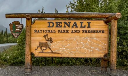 Alaska: Tag 40 – Fahrt nach Healy / Denali