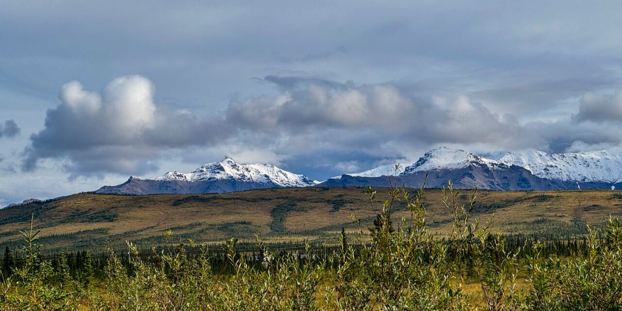 Alaska: Tag 42 – Denali II: Erste Bustour im Park