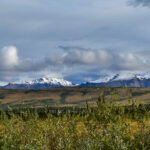 Alaska: Tag 42 – Denali II: Erste Bustour im Park