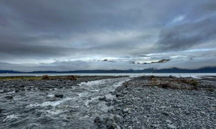 Alaska: Tag 36 – Regentag in Seward