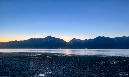 Alaska: Tag 37 – Whale Watching (Teaser) und ein langer Tag