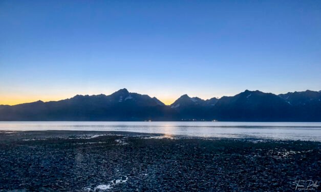 Alaska: Tag 37 – Whale Watching (Teaser) und ein langer Tag
