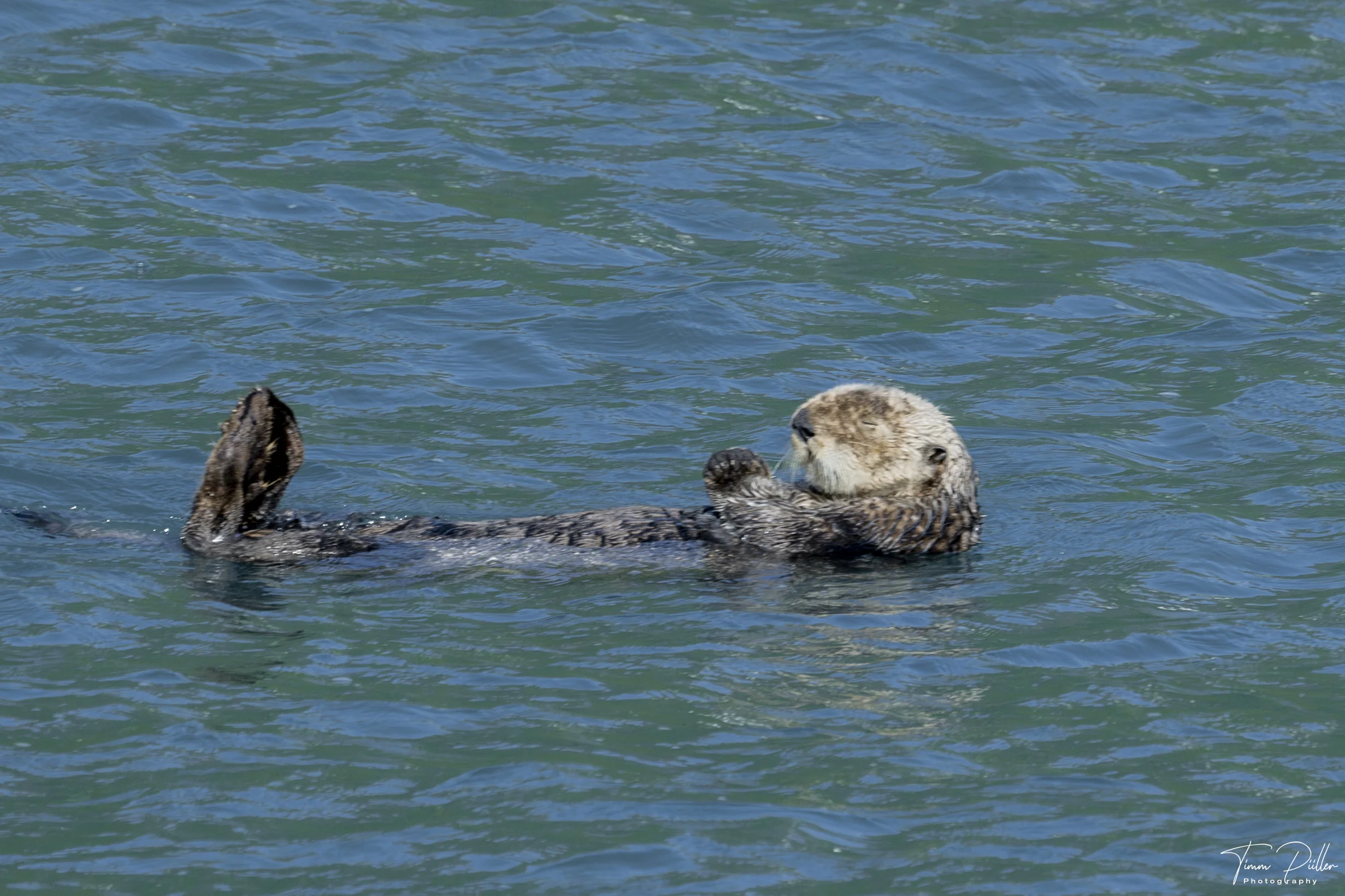 Z9W_3244-Enhanced-NR