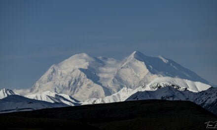 Alaska: Tag 44 – Denali IV: A Walk in the Park (Teaser)