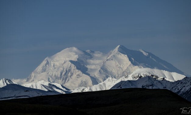 Alaska: Tag 44 – Denali IV: A Walk in the Park (Teaser)