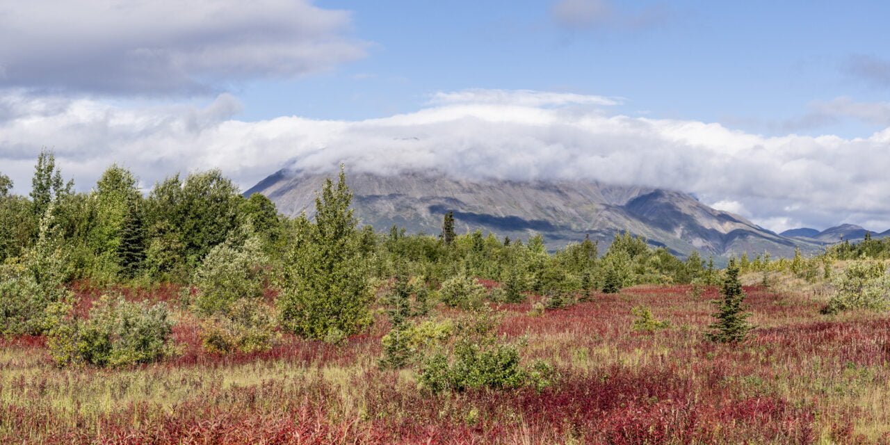 Yukon: Tag 49 – Rückkehr nach Alaska