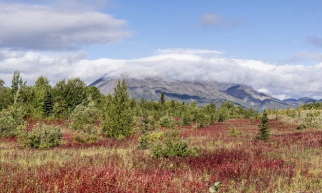 Yukon: Tag 49 – Rückkehr nach Alaska